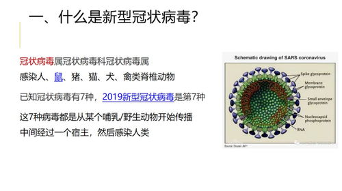 百人隔離敲警鐘 央企強化工程管理服務中的疫情防控體系建設